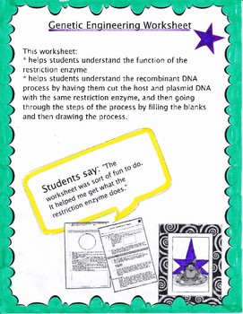 Preview of Genetic Engineering Worksheet