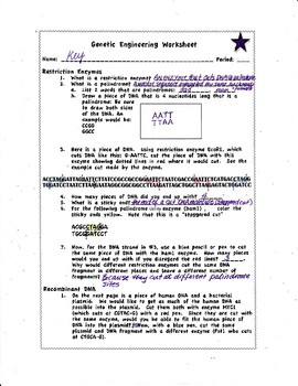 Genetic Engineering Worksheet by Biology Buff | Teachers Pay Teachers