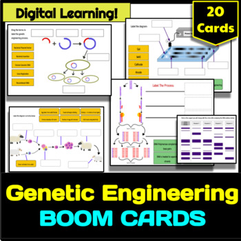 Preview of Genetic Engineering and Biotechnology Boom Cards - Interactive Task Cards