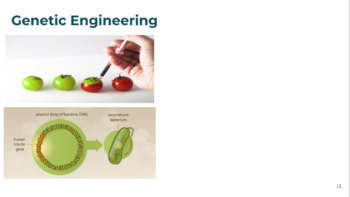 Preview of Genetic Engineering vs. Natural Selection Activity