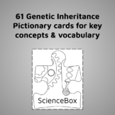 Genetic Inheritance Pictionary Cards - Review