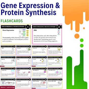 Preview of Genetic Mastery Flashcards: Gene Expression & Protein Synthesis