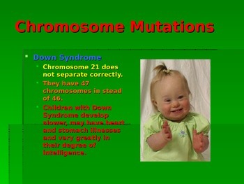 Genetic Mutation and Disorders by Courtney Chastain | TpT