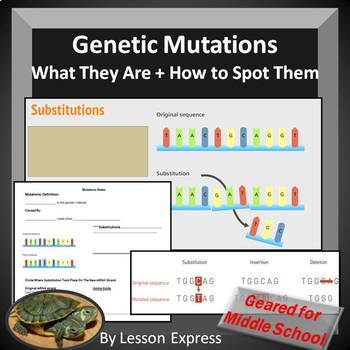 Preview of Genetic Mutations -- PowerPoint, Notes, Review Worksheeets + Homework