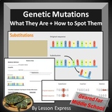 Genetic Mutations -- PowerPoint, Notes, Review Worksheeets