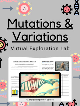 Preview of Genetic Mutations & Variations Virtual Exploration Lab