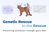 Genetic Rescue to the Rescue: Interdisciplinary Science Mini-Unit