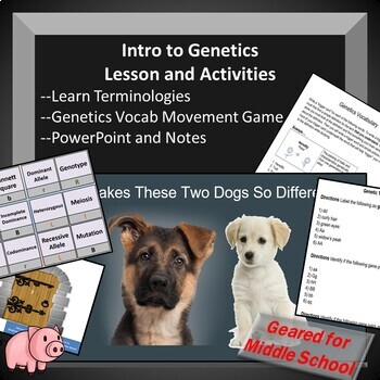 Preview of Genetic Introduction and Terminology -- Lesson, Activities, Review