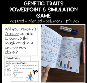 Preview of Genetic Traits Powerpoint & Simulation Game
