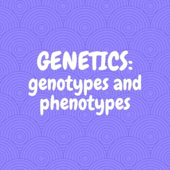 Preview of Genetic Traits- genotype vs phenotype
