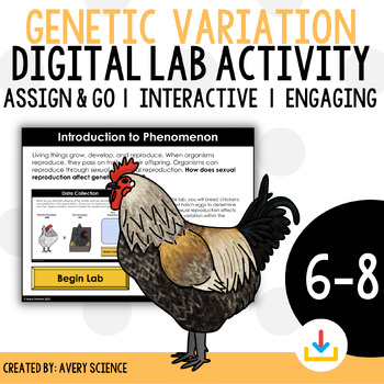 Preview of Genetic Variation Breeding Chickens Digital Lab