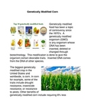 Genetically Engineered Corn