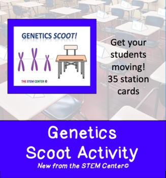 Preview of Genetics Scoot Activity