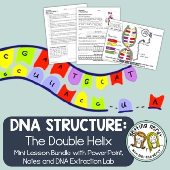 Preview of DNA History, Structure and Function - PowerPoint and Notes