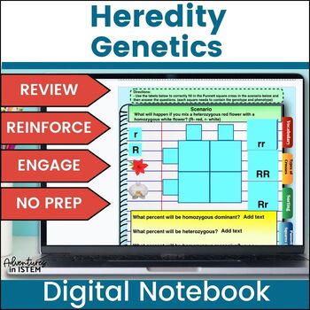 Preview of Genetics and Heredity Punnett Squares Practice Activity Science Digital Notebook