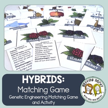 Preview of Hybrid Genetics Card Match-Up Activity