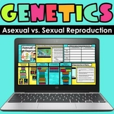 Genetics - Asexual vs. Sexual Reproduction - Google Classr
