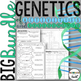 Genetics BIG Bundle of Activities and Assessments