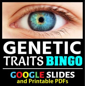 Preview of Genetic Traits Bingo Activity - Hooked on Genetics | Printable & Google Slides