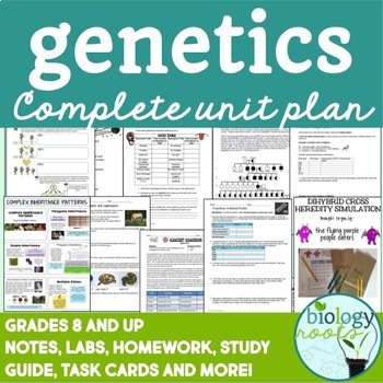 Preview of Genetics Bundle