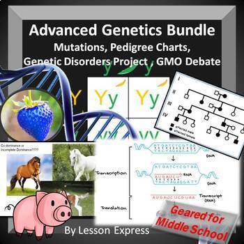 Preview of Genetics Bundle - DNA, RNA, Mendel, Traits, Punnett Square, Disorders, Mutations