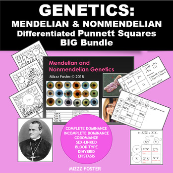 Preview of Genetics Bundle: Mendelian and non-Mendelian Punnett Squares PPt, WS, Word Wall