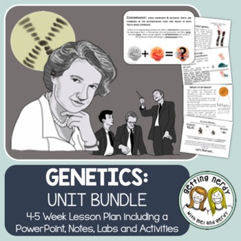Preview of Genetics & Heredity - PowerPoint & Handouts Bundle