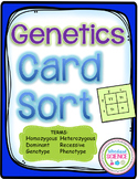 Genetics Card Sort Vocabulary Activity