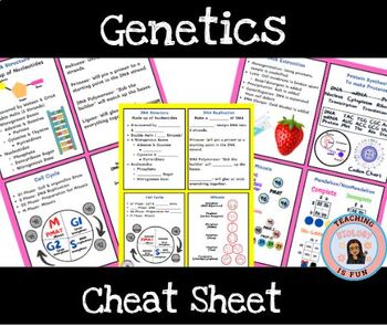 Preview of Genetics Cheat Sheet DNA, Biology Principles of Biomedical Science