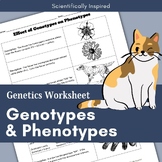 Genotypes and Phenotypes Genetics | Heredity Worksheet Act