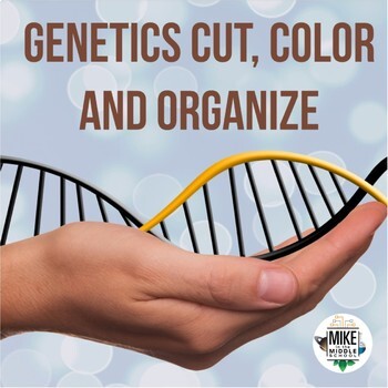 Preview of Genetics Cut, Color and Organize for Middle School