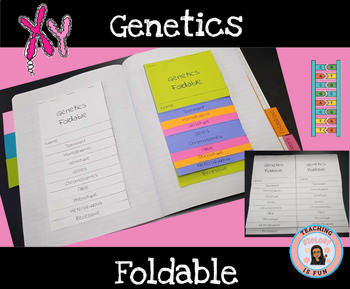 Preview of Genetics DNA Structure Foldable