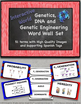 Preview of Genetics, DNA, and Gene Technology Word Wall Set with Spanish Tags