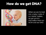 Genetics & DNA for Special Education Life Skills Essential