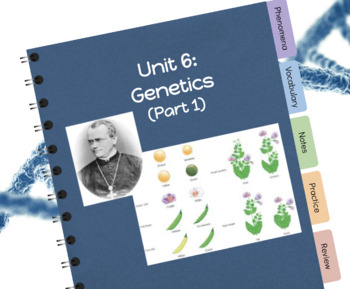 Genetics Digital Interactive Notebook (Part 1) Student and Teacher Version