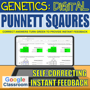 Preview of Genetics - Digital Punnett Squares - Self-correcting