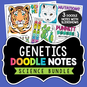 Preview of Genetics Doodle Notes - Minibundle - Heredity, Mutations, Punnett Square