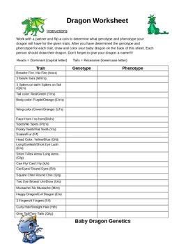 Dragon Genetics Worksheet Answer Key