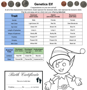 Preview of Genetics Elf