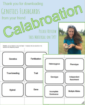 Preview of Genetics Flashcards