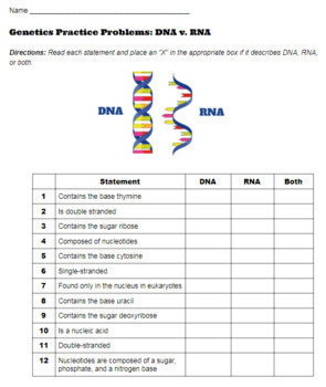 Genetics Google Drive Worksheets: Distance Learning | TpT