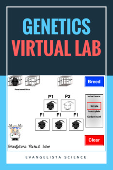 Preview of Genetics Guided Inquiry Virtual Lab