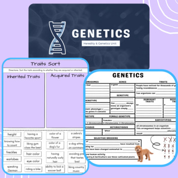 Preview of Genetics & Heredity Bundle