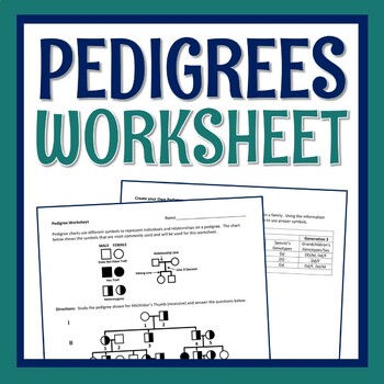 Preview of Genetics and Heredity Pedigree Worksheet NGSS MS-LS3-2 HS-LS3-3
