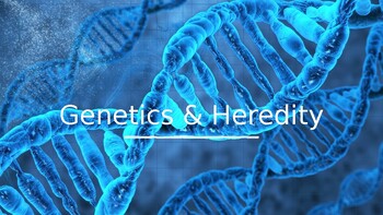 Preview of Genetics & Heredity Powerpoint