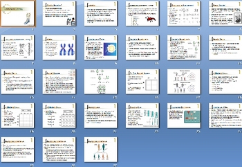 Preview of Genetics Heredity Smartboard Notebook Presentation Lesson Plan