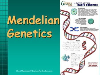 Preview of Genetics: Introduction to Genetics PowerPoint Presentation