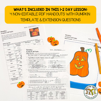 punnett squares fall halloween jack o all traits genetics activity