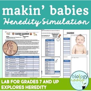 Preview of Genetics Lab Making Babies Heredity Simulation