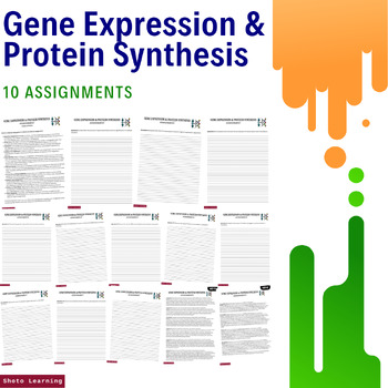 Preview of Genetics Mastery: 10 Gene Expression & Protein Synthesis Assignments